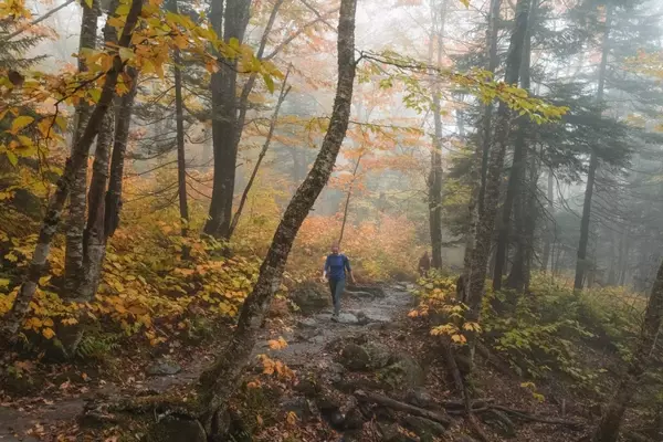 Reflections on Thru-Hiking the Long Trail: Lessons Learned and Future Plans