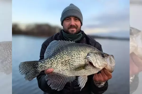 Virginia Angler Achieves World Record for Black Crappie