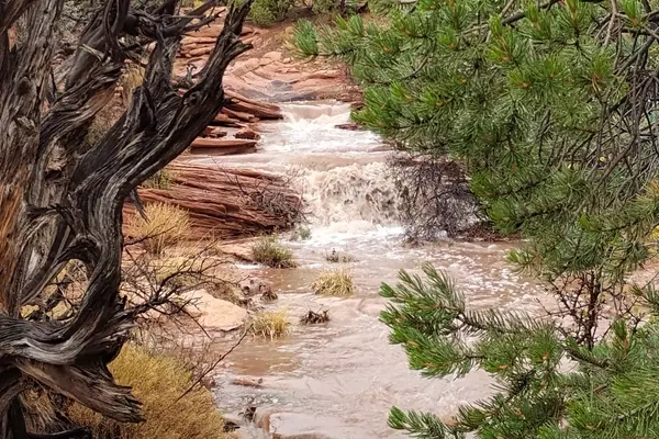 A Father and Son's Unexpected Encounter with Flash Floods in Canyonlands National Park