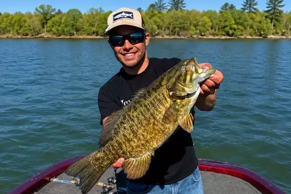 Mastering Bridge Fishing: Techniques and Gear for Bass and Panfish