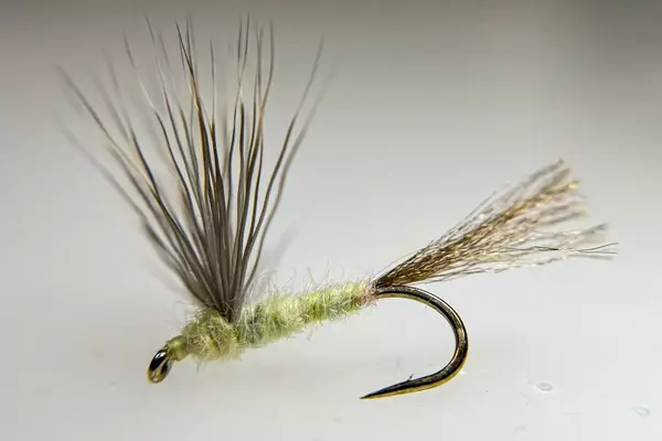 Mastering Dry Fly Fishing: Techniques for Trout Anglers