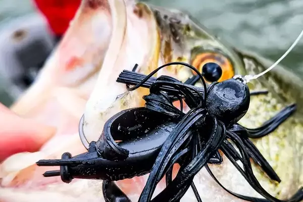 The Enduring Supremacy of the Skirted Jig in Bass Fishing