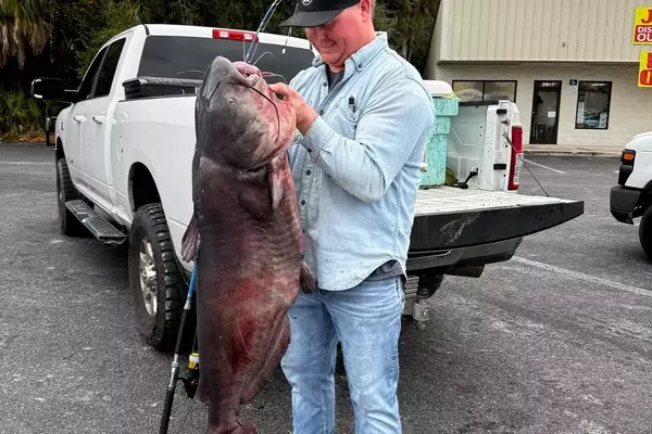 Florida Angler Lands Record-Breaking Blue Catfish