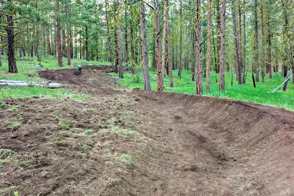 Naneum Ridge's Cookie Cutter Trail System: A Decade-Long Vision Realized