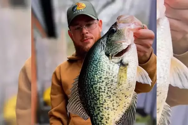 Angler Shatters Ohio Fishing Record with Massive Hybrid Crappie Catch