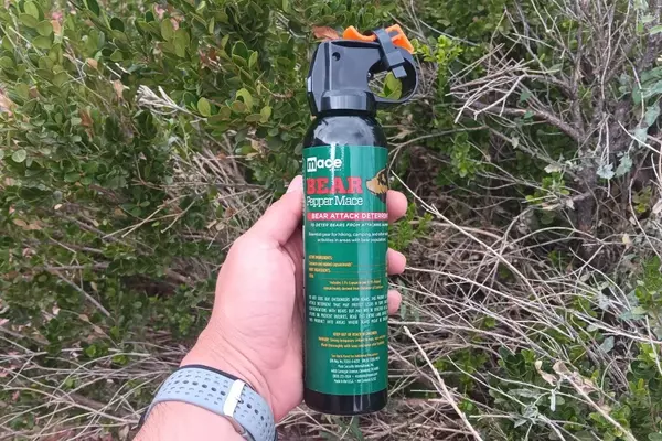 The Proven Efficacy of Bear Spray: Expert Insights for Wildlife Encounters