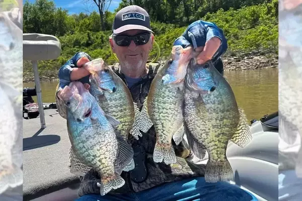 Crappie Comeback at Tuttle Creek: May Fishing Frenzy