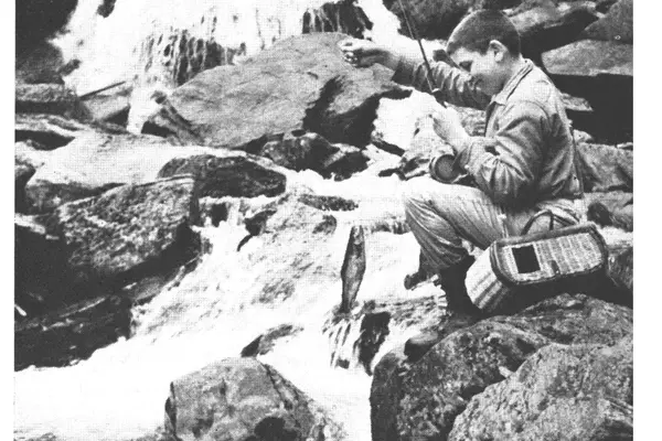 Exploring the Unique World of Beaver Pond Trout Fishing