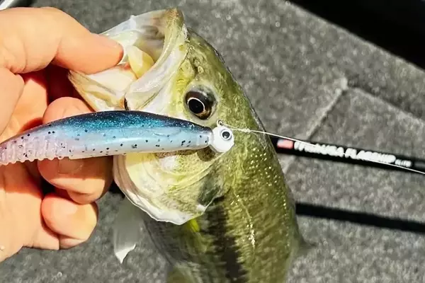 FishUSA Flagship Elite 'Minnow Shaker' Spinning Rod Review