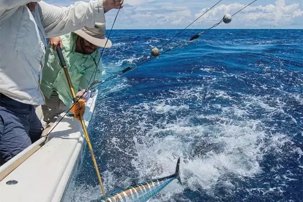 Mastering Wahoo Fishing During Summer Full Moons