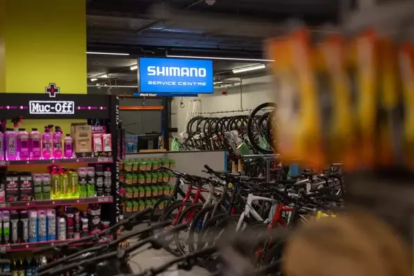Evans Cycles Returns to Profitability Despite Store Closures
