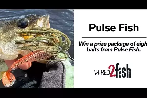 Pulse Fish Bait Package Giveaway: Your Chance to Win Top Fishing Lures