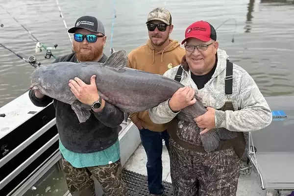 West Virginia's New Record: A 71-Pound Blue Catfish