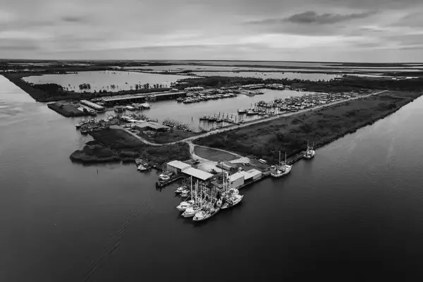 Daytime Swordfishing Expeditions in the Louisiana Gulf