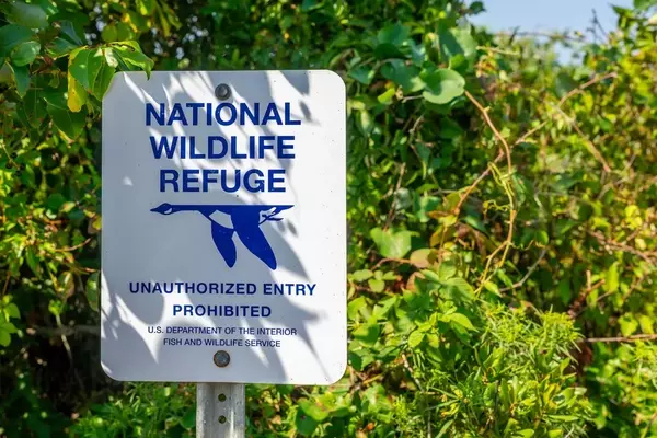 Federal Agencies Propose Significant Expansion of Hunting and Fishing Access on Public Lands
