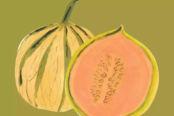 Discovering the Diverse World of Summer Melons