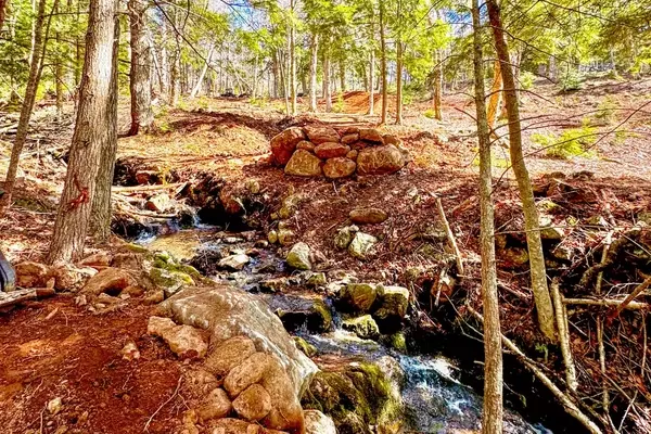 Wentworth Ski Hill Elevates Mountain Biking with New DH Trail Funded by Shimano