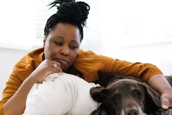 The Emotional Bond Between Humans and Dogs: Understanding Shared Stress
