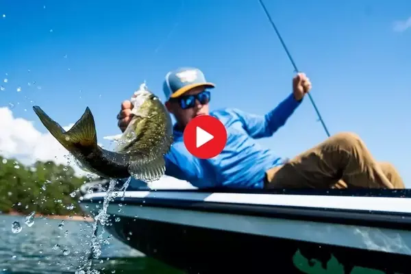 Unlocking Summer Bass Fishing Success: A Two-Lure Strategy