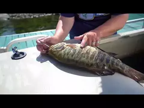 Mastering Fish Fizzing: A Guide to Responsible Deep-Water Angling