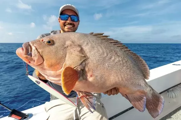 Mastering Deepwater Fish Release Strategies for Speckled Hind Conservation