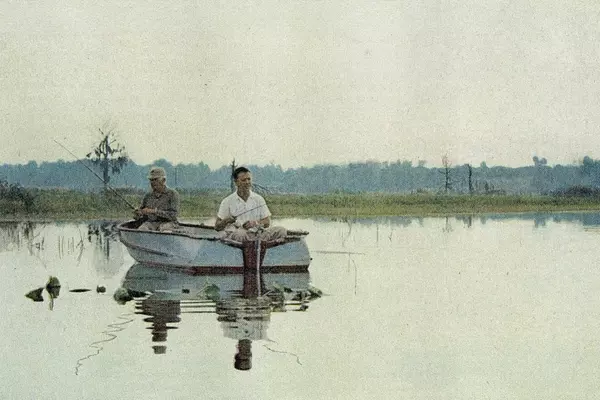 Uncovering Bass Giants in Obscure Ponds