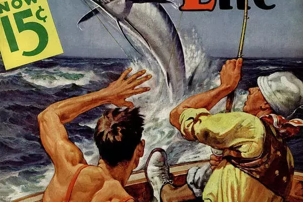 A Kayaker's Epic Battle with a Hammerhead Shark