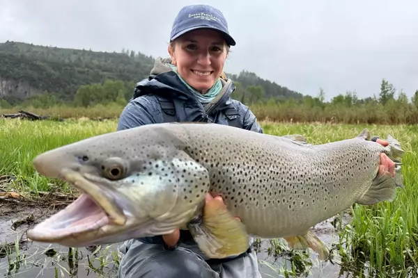 Angler Lands Potential Record-Breaking Brown Trout in Idaho