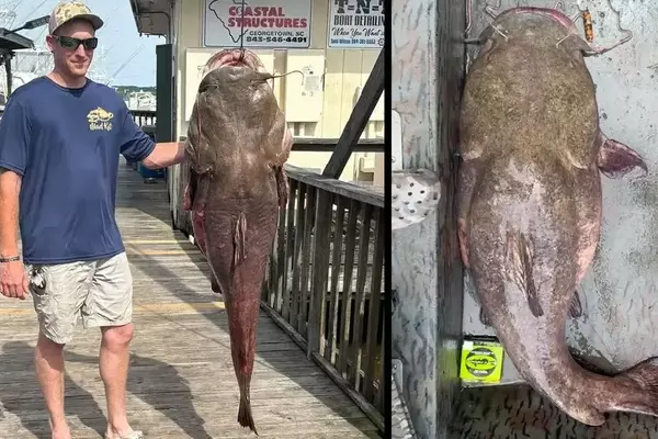 Angler Catches Record-Breaking 113.7-Pound Flathead Catfish in South Carolina