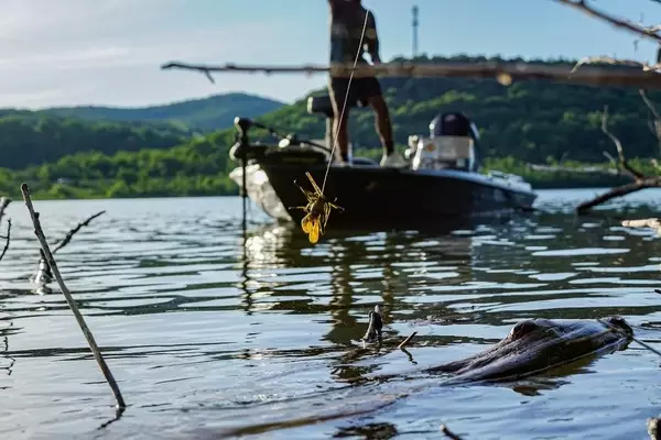 Mastering the Art of Laydown Fishing for Bass and Panfish