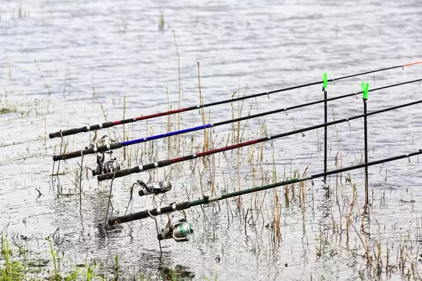 Commonly Overlooked Fishing Regulations
