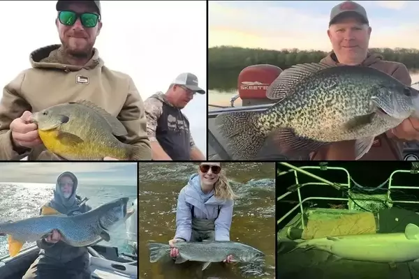 Minnesota Anglers Reel in Unprecedented Nine State Fishing Records in One Season