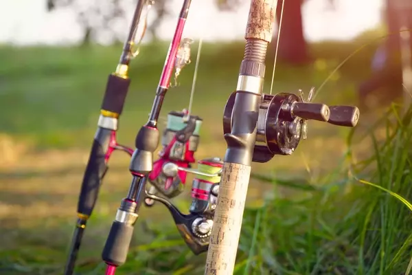 Mastering Bass Angling: Essential Tips and Techniques for Success