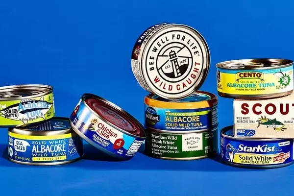 Effortless Tuna Patties: A Speedy Culinary Delight