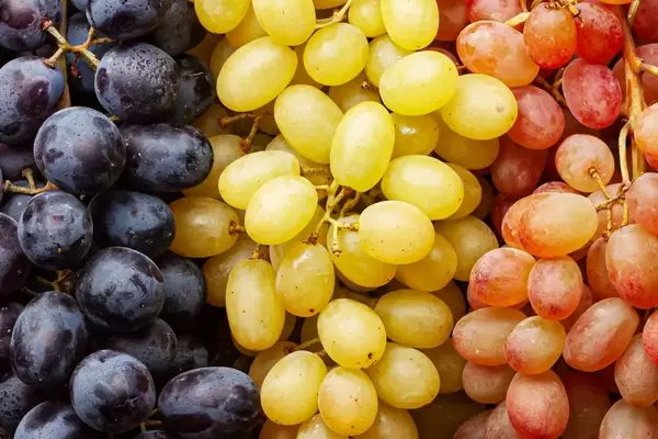 A Comprehensive Guide to Grapes: Varieties, Selection, and Culinary Uses