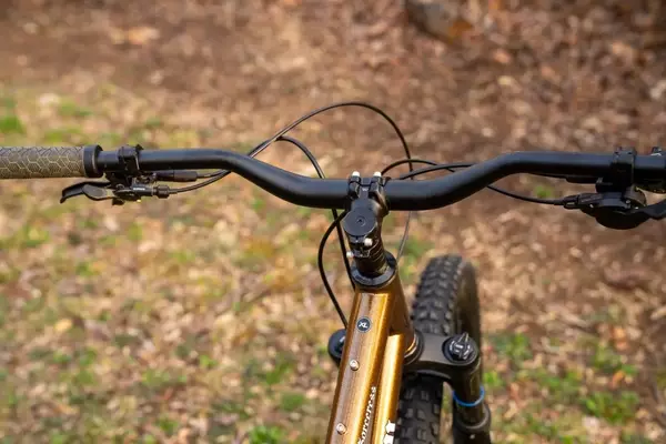 Mountain Bike Component Preferences: A Survey on Customization
