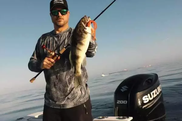 Mastering the Hunt for Barred Sand Bass: A Comprehensive Angler's Guide
