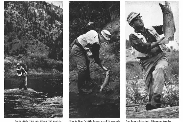 Angling for Giants: The Missouri River's Trophy Trout