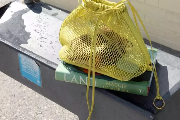 Summer Reading Selection: Stylish Beach Bags for Your Favorite Books