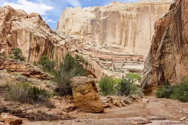 Court Decision Reignites Dispute Over Bears Ears Monument Boundaries