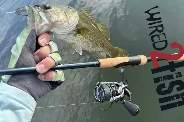 Lew's HyperMag Shallow Spool 300 Spinning Reel: An In-Depth Review
