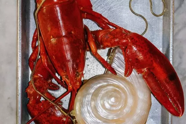 The Enduring Allure of Seashell Accessories in Fashion