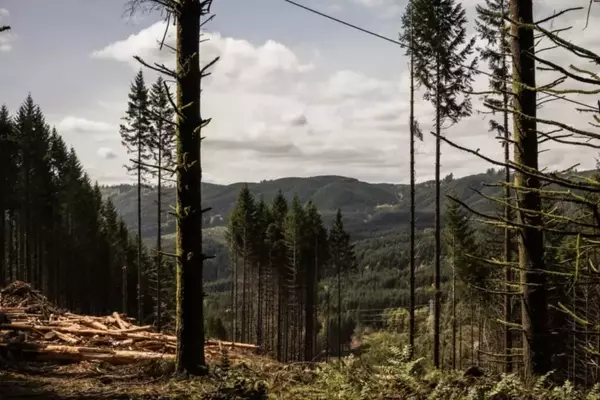 Northwest Trail Alliance Expands Mountain Biking Access Near Portland