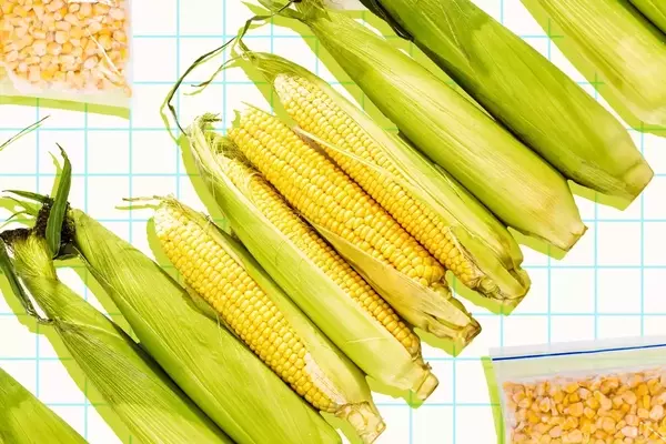 Maximizing Sweetness: The Ultimate Guide to Storing Your Corn