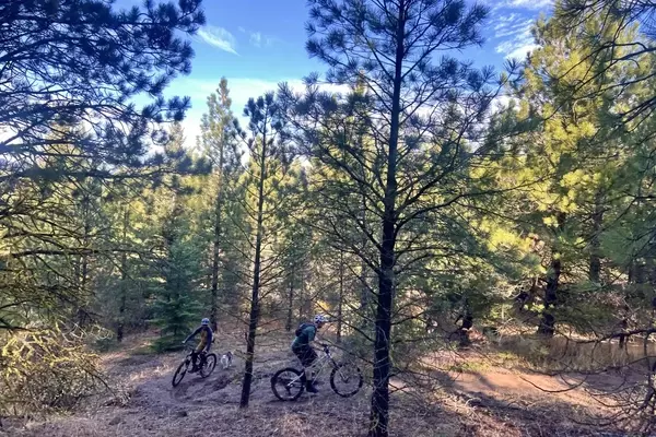 Teanaway's Trail Collaboration: Uniting Users for Enhanced Outdoor Recreation