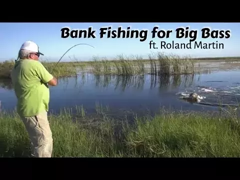 Mastering Shoreline Fishing: Techniques for Anglers