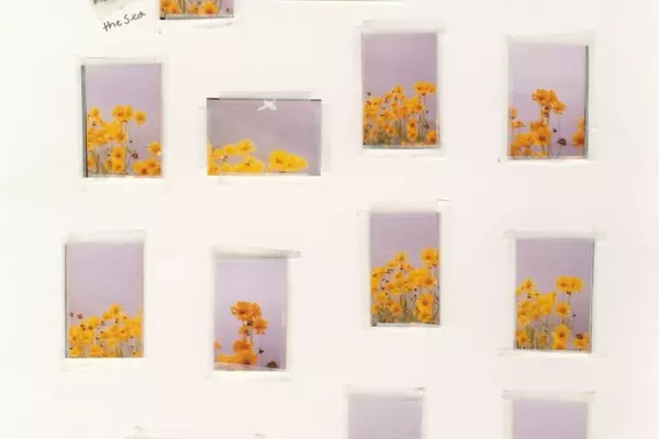Nico Perez's 'Everything Is Nothing and Nothing Is Everything': A Photographic Journey of Connection and Truth