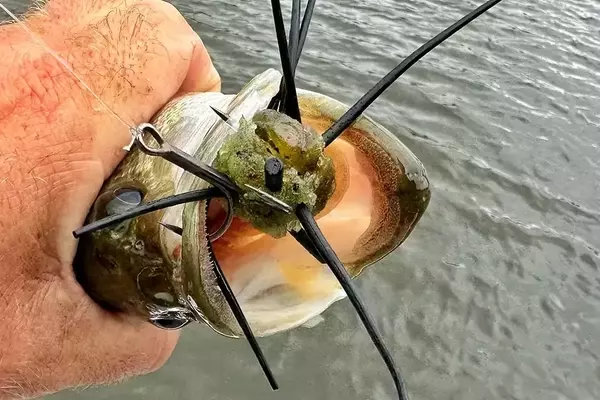 Crafting Your Own Urchin-Style Fishing Lures: A DIY Guide