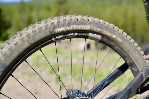 Maxxis Dissector vs. Minion DHR II: A Comprehensive Mountain Bike Tire Review