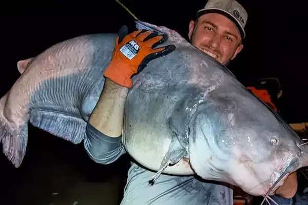 Angler Catches Two Catfish at Once, Puts 178 Pounds in His Boat With the Pair